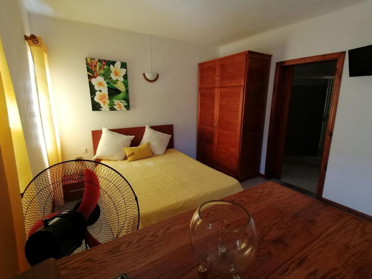 Terre et Mer - Studios - Ile Maurice Rivière Noire Extérieur photo