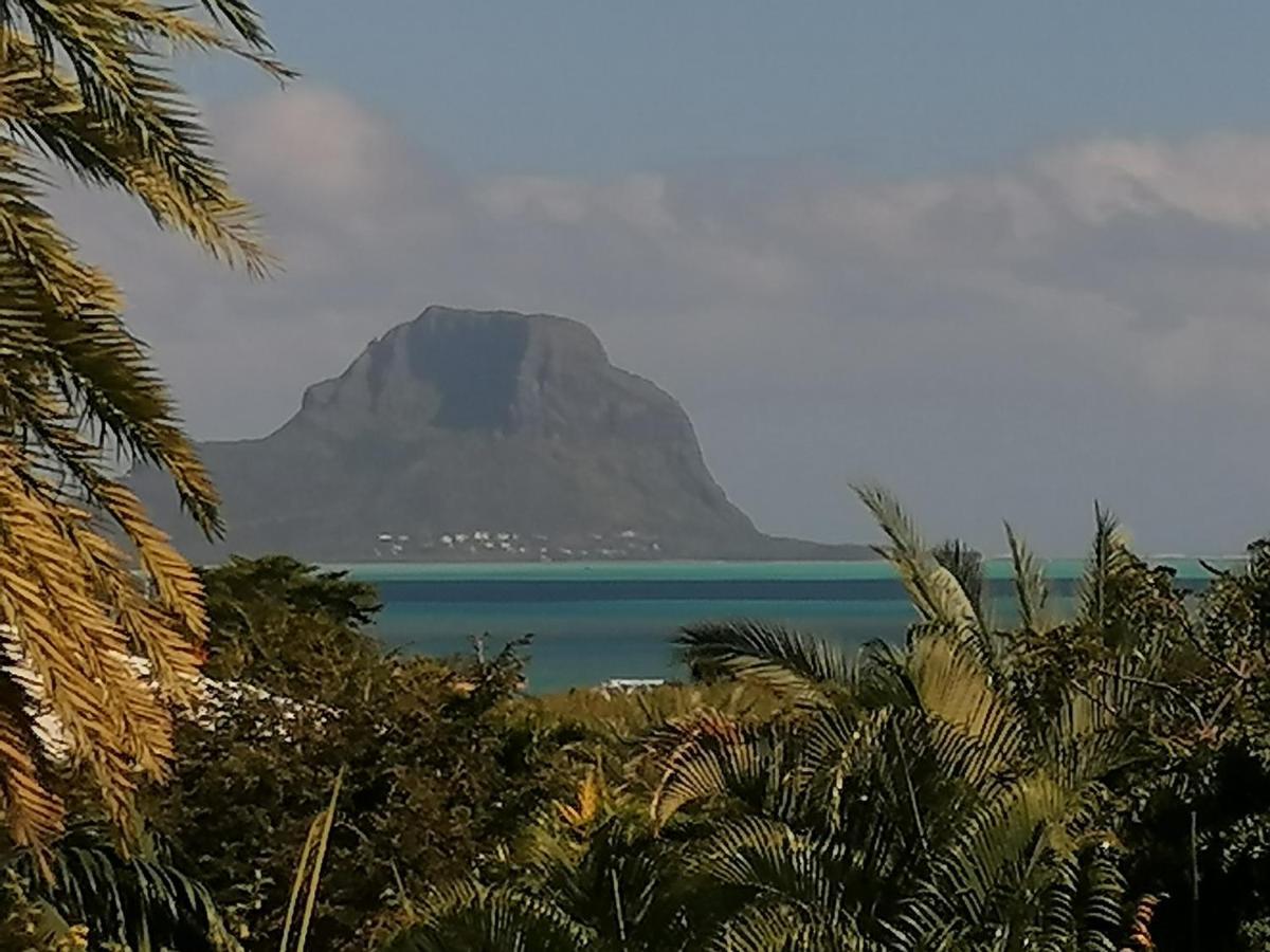 Terre et Mer - Studios - Ile Maurice Rivière Noire Extérieur photo
