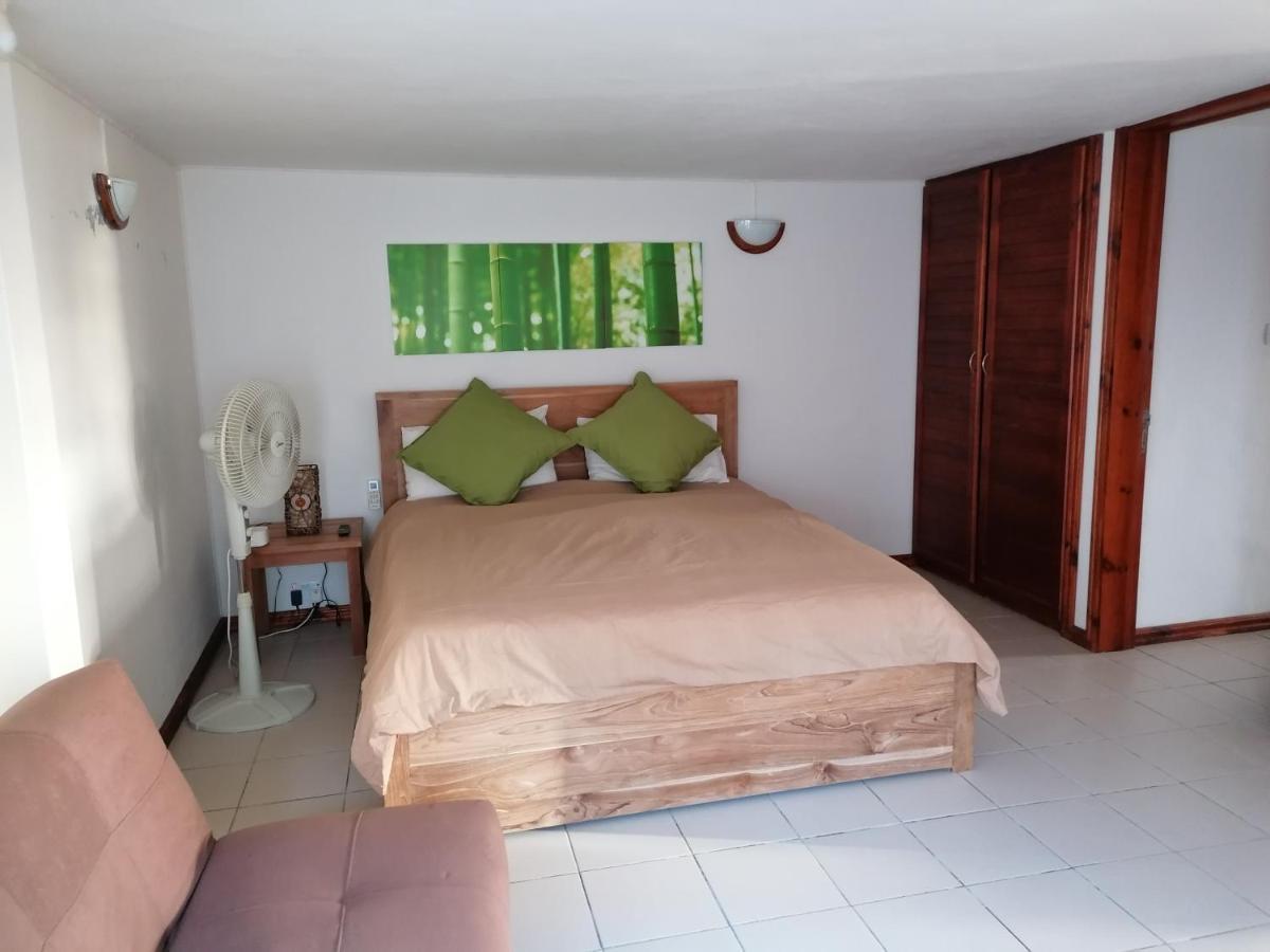 Terre et Mer - Studios - Ile Maurice Rivière Noire Extérieur photo