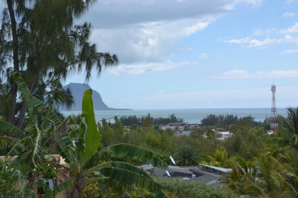 Terre et Mer - Studios - Ile Maurice Rivière Noire Extérieur photo
